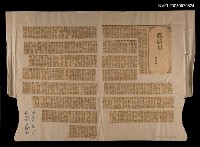 主要標題：鵓鴣鳥/報紙名稱：聯合副刊圖檔，第1張，共1張