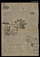 主要標題：摔角輸了，踢貓出氣/報紙名稱：民眾日報圖檔，第1張，共1張