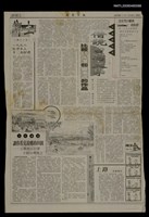 主要標題：沒有哭泣權利的族群/報紙名稱：民眾日報圖檔，第1張，共1張