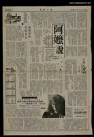 主要標題：金黃小米高高掛山坡（7）/報紙名稱：民眾日報圖檔，第1張，共1張