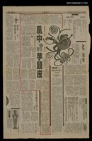 主要標題：風中的芋頭皮（2）/報紙名稱：台灣日報圖檔，第1張，共1張