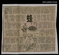 主要標題：蜂/報紙名稱：中華日報圖檔，第1張，共1張