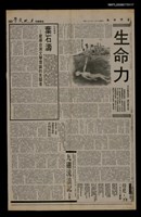 主要標題：生命力/報紙名稱：台灣時報圖檔，第1張，共1張