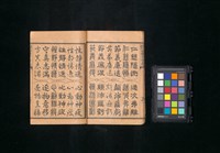 主要名稱：真草隸篆四體千字文圖檔，第19張，共47張