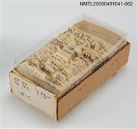 主要名稱：紙卡/副題名：台ㄊㄧㄥ圖檔，第1張，共1張