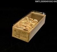 主要名稱：紙卡/副題名：國ㄍㄨㄣ~ㄍㄨㄥ圖檔，第1張，共1張