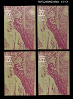 期刊名稱：笠96期圖檔，第5張，共5張