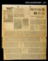 主要標題：風雨中的長青樹—讀「台灣出土人物誌」引起的回憶（上）（下）/劃一題名：歷史長廊/報紙名稱：自立晚報圖檔，第2張，共2張