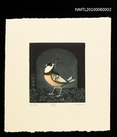 主要名稱：藏書票—Flying（翔）圖檔，第2張，共3張