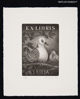 主要名稱：藏書票—Rufous Turtle Dove（Birth）（棕斑鳩）圖檔，第1張，共3張