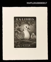 主要名稱：藏書票—Rufous Turtle Dove（Birth）（棕斑鳩）圖檔，第2張，共3張