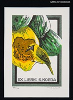 主要名稱：藏書票—Bonin Islands Honey-Eater（小笠原島的覓蜜鳥）圖檔，第2張，共3張