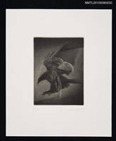 主要名稱：藏書票—Eagle（鷹）圖檔，第2張，共3張