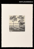 主要名稱：藏書票—Water-side（Summer）（夏日的水邊）圖檔，第1張，共3張