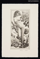 主要名稱：藏書票—Blossomed KOEDA（Rose）（盛開的玫瑰）圖檔，第1張，共3張