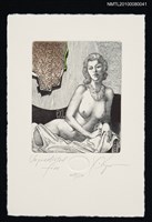 主要名稱：藏書票—Unpredicted Fire（斜側臥女/意外火災）圖檔，第2張，共3張