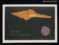 主要名稱：藏書票—貝（Shell）圖檔，第2張，共3張