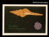 主要名稱：藏書票—貝（Shell）圖檔，第1張，共3張