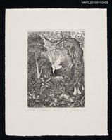 主要名稱：藏書票—White Veil圖檔，第2張，共3張