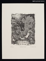 主要名稱：藏書票—White Coral圖檔，第2張，共3張