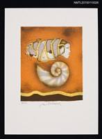 主要名稱：藏書票—眠れる貝（Sleeping Shell）圖檔，第2張，共3張