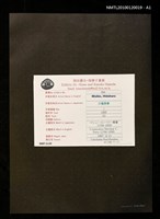 主要名稱：藏書票—マシュー・C・ペリー提督（1794-1858）圖檔，第3張，共4張