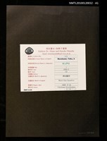 主要名稱：藏書票—黒船艦隊圖檔，第3張，共4張