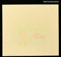 主要名稱：藏書票—マシュー・C・ペリー提督（1794-1858）、旗艦サスケハナ号及び下產鯛（A）圖檔，第4張，共4張