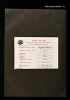 主要名稱：藏書票—梟と女圖檔，第4張，共4張