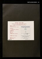 主要名稱：藏書票—マシュー・C・ペリー提督、旗艦サスケハナ号及び下產鯛圖檔，第3張，共4張