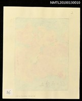 主要名稱：藏書票—胡蝶蘭（Orchid/Kochoran）圖檔，第3張，共3張