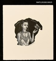 主要名稱：藏書票—緑の記憶（胡蝶）（Phalaenopsis）圖檔，第1張，共3張