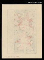 主要名稱：藏書票—海老根（Orchid）圖檔，第3張，共3張