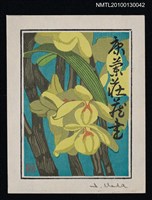 主要名稱：藏書票—石斛（Orchid/Sekkoku）圖檔，第2張，共3張