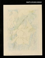 主要名稱：藏書票—石斛（Orchid/Sekkoku）圖檔，第3張，共3張