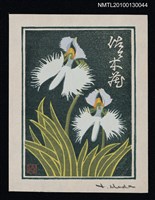 主要名稱：藏書票—鷺草（Orchid/Sagiso）圖檔，第2張，共3張