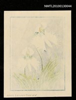 主要名稱：藏書票—鷺草（Orchid/Sagiso）圖檔，第3張，共3張