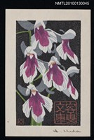 主要名稱：藏書票—羽蝶蘭（Orchid/Utyoran）圖檔，第2張，共3張