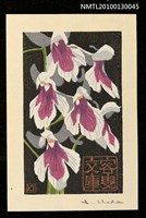 主要名稱：藏書票—羽蝶蘭（Orchid/Utyoran）圖檔，第1張，共3張