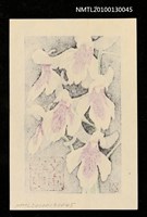 主要名稱：藏書票—羽蝶蘭（Orchid/Utyoran）圖檔，第3張，共3張