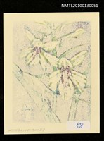 主要名稱：藏書票—羽蝶蘭（Orchid/Uchoran）圖檔，第3張，共3張