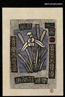 主要名稱：藏書票—蘭易十二翼：喜雨而畏潦．喜潤而畏湿（Orchid SE ,02）圖檔，第2張，共3張