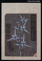 主要名稱：藏書票—蘭秀芝英（白舌冠）（Orchid SE ,09）圖檔，第2張，共3張
