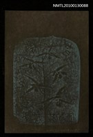 主要名稱：藏書票—芝蘭之交（羽衣）（Orchid SE ,35）圖檔，第3張，共3張