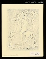 主要名稱：藏書票—アムゾネス（Amazon）圖檔，第3張，共3張