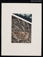 主要名稱：藏書票—初秋圖檔，第2張，共2張