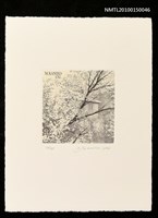 主要名稱：藏書票—桜花圖檔，第1張，共1張