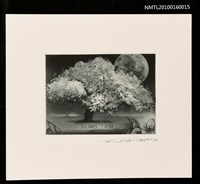 主要名稱：藏書票—樹和月亮圖檔，第1張，共1張