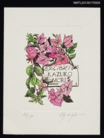 主要名稱：藏書票—九重葛（Bougainvillea）圖檔，第2張，共3張