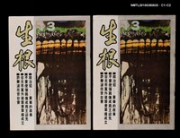 主要名稱：生根週刊13圖檔，第3張，共3張